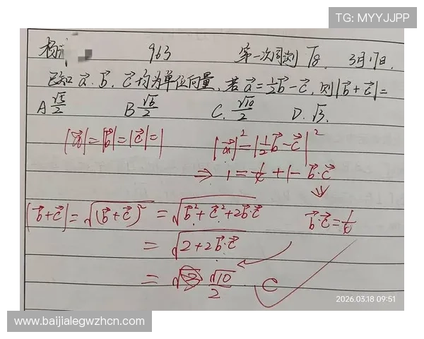 掌握百家乐游戏基本玩法与高级策略实现稳健盈利的完整教学方案