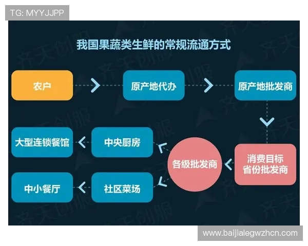 详细分析AG币游国际网址的交易安全保障体系及未来发展趋势预测
