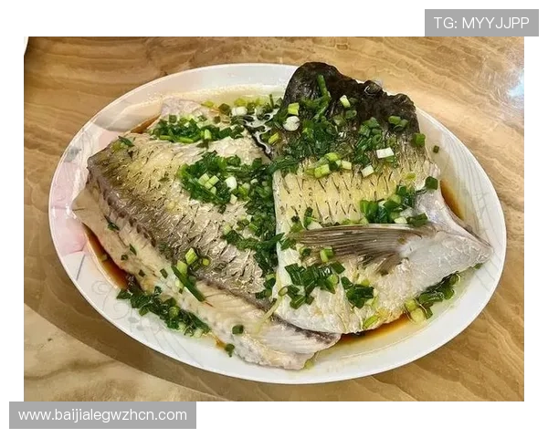 皇家真人现场版玩家真实评价与体验分享帮助新手快速上手赢得信赖